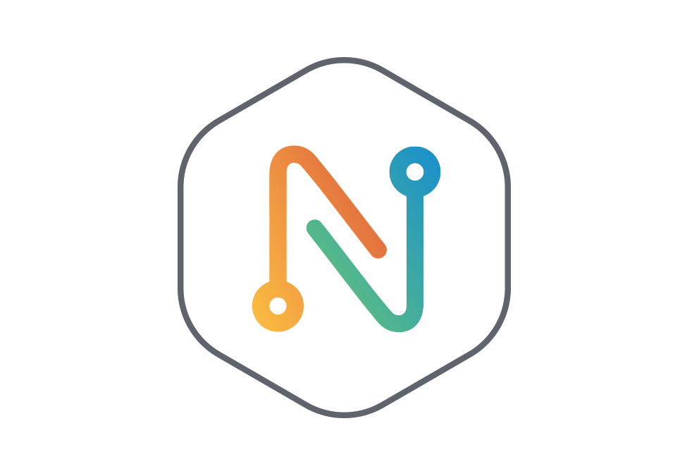 Networker Network Info Appr 5 5